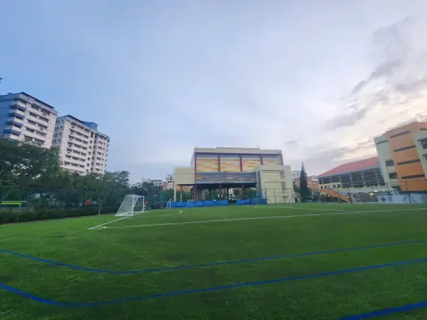 Loyang View Secondary School — Artificial Turf