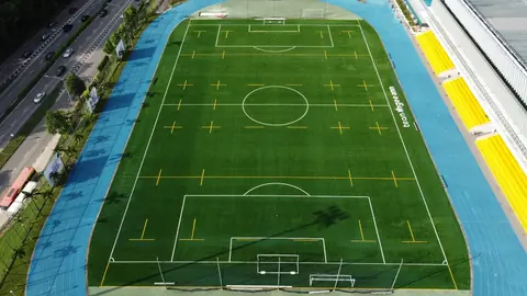 Ngee Ann Polytechnic — Artificial Turf