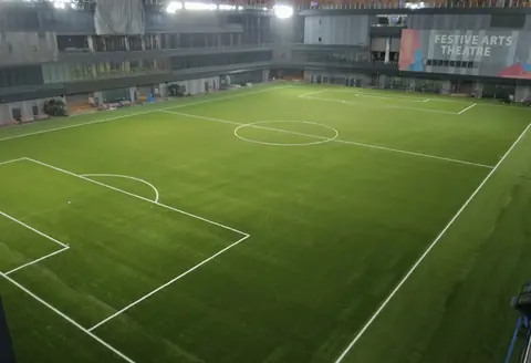 Our Tampines Hub — Artificial Turf