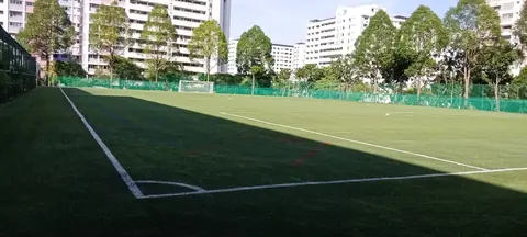 Pasir Ris Crest Secondary School — Artificial Turf