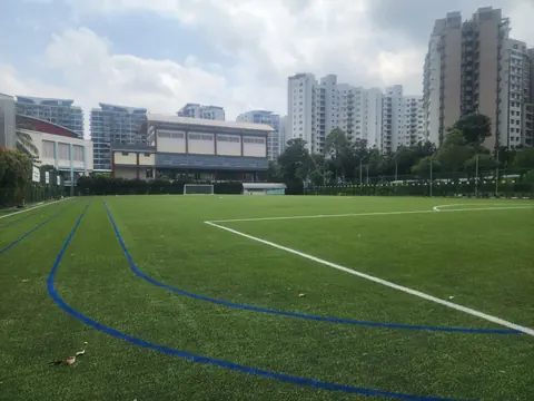 Serangoon Secondary School — Artificial Turf