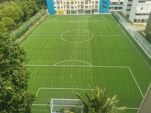 Tampines Secondary School — Artificial Turf