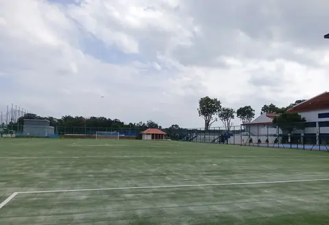 Temasek Secondary School — Artificial Turf