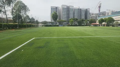 Woodgrove Secondary School — Artificial Turf