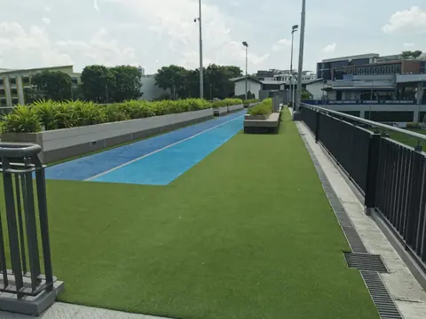 Lion City Sailors — Landscape Artificial Turf
